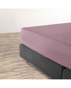 Drap-housse satin de coton uni Rose