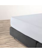 Drap-housse satin de coton uni gris perle