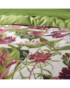 Drap-housse satin de coton Garden Micro vert