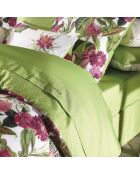 Drap-housse satin de coton Garden Micro vert