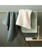 Set de 2 essuie-mains en coton ultra doux - vert sauge - 2x(45x45 cm)