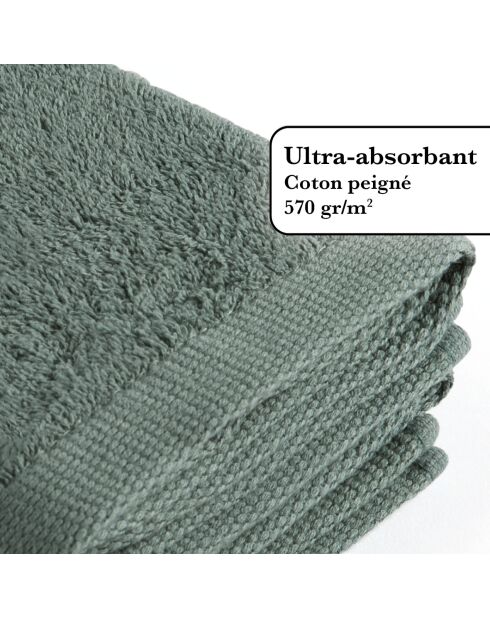 Set de 2 essuie-mains en coton ultra doux - vert sauge - 2x(45x45 cm)