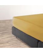 Drap-housse satin de coton uni jaune