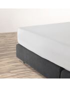 Drap-housse satin de coton uni blanc cassé