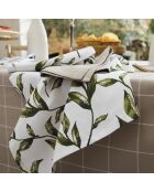 Set de 3 paños de cocina blancos Natur'elle - 50x70 cm