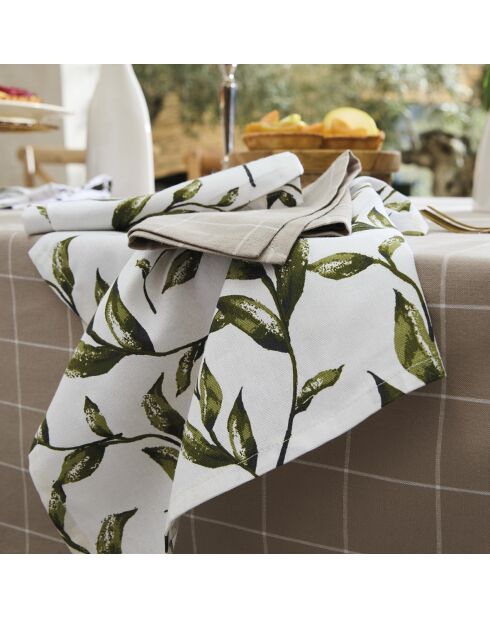 Set de 3 paños de cocina blancos Natur'elle - 50x70 cm