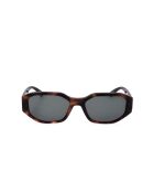 Lunette de soleil KL6073S tortoise