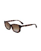 Lunette de soleil KL6071S tortoise