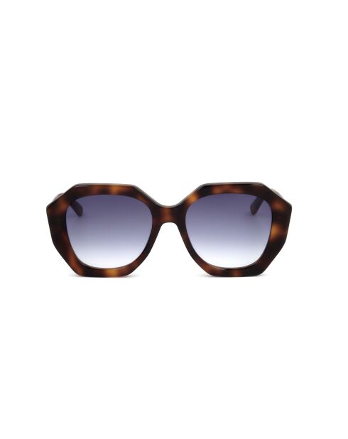 Lunette de soleil KL6012S tortoise