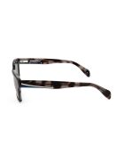 Lunette de soleil KM1015 navy tortoise