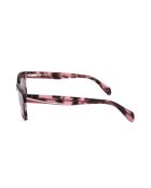 Lunette de soleil KM1015 raspberry tortoise