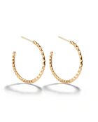 Boucles d'oreilles en acier plaqué or jaune dorées