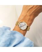 Montre en acier EKD-5914GQ mesh dorée