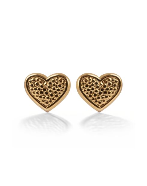 Boucles d'oreilles en Acier Tatiana dorées