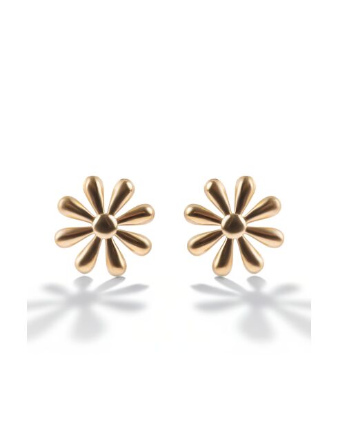 Boucles d'oreilles en Acier Géraldine dorées