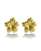 Boucles d'oreilles en Acier Amandine dorées