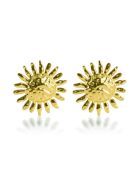 Boucles d'oreilles en Acier Céline dorées