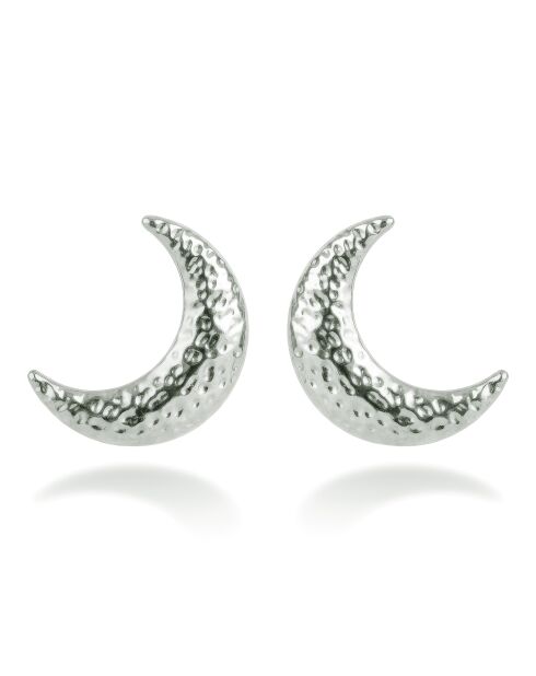 Boucles d'oreilles en Acier Clara argentées