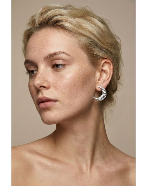 Boucles d'oreilles en Acier Clara argentées