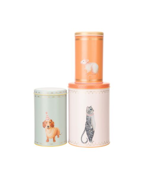 Coffret de 3 boîtes de conservation multicolore - 46x35x52 cm