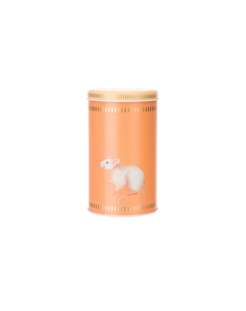 Coffret de 3 boîtes de conservation multicolore - 46x35x52 cm