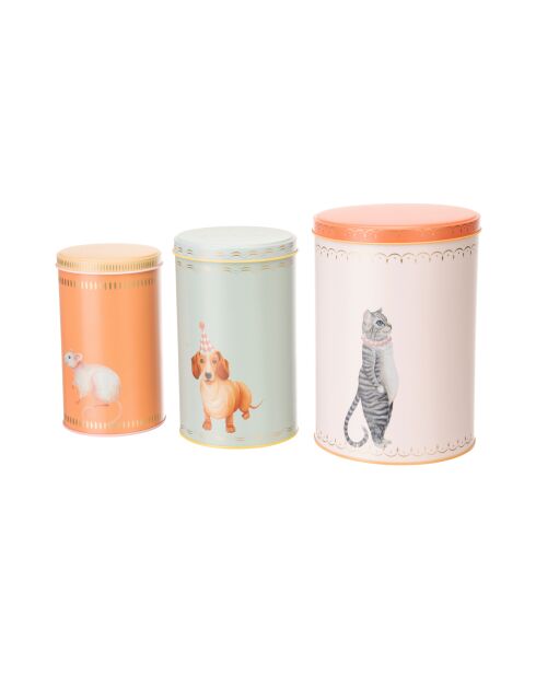 Coffret de 3 boîtes de conservation multicolore - 46x35x52 cm