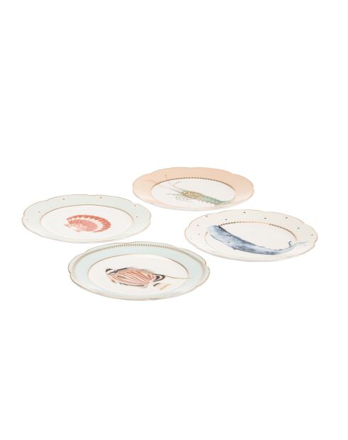 Coffret 4 assiettes à thé Poissons multicolore - 20,5x19,3x26,5 cm