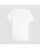 Maxence graues meliertes Kurzarm-T-Shirt mit Rundhalsausschnitt