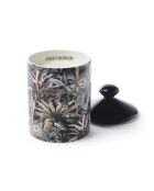 Bougie parfumée en pot de porcelaine Jungle Monkey - Noir - Figue - 315 g