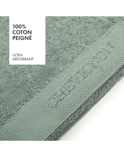 Lot de 2 serviettes de bain vert bouteille - 2x70x140 cm