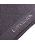 Lot de 2 serviettes à main en coton peigné LT Lagon Gris foncé - 2x(50x100 cm)