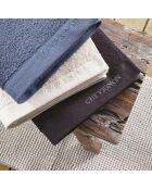 Lot de 2 serviettes à main en coton peigné LT Lagon Gris foncé - 2x(50x100 cm)