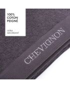 Lot de 2 serviettes à main en coton peigné LT Lagon Gris foncé - 2x(50x100 cm)