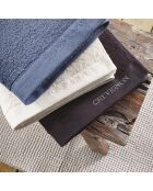 Lot de 4 serviettes d'invités bleu-gris - 4x30x30 cm