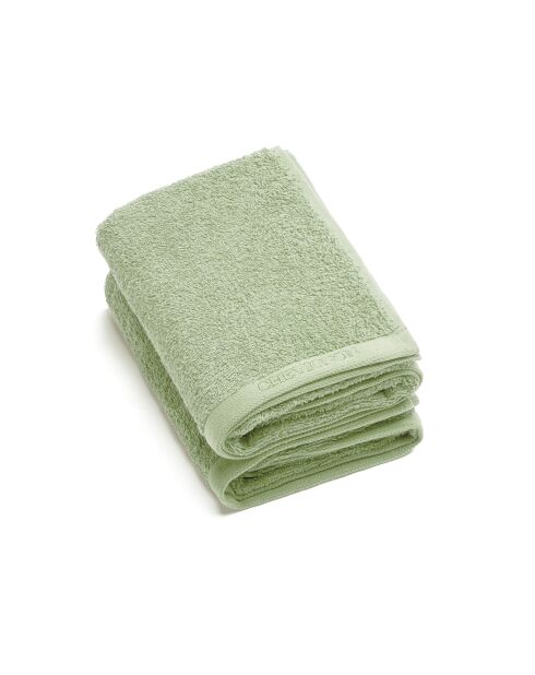 Lot de 2 serviettes de toilette vert prairie - 50x100 cm