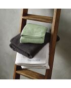 Lot de 2 serviettes de toilette vert prairie - 50x100 cm