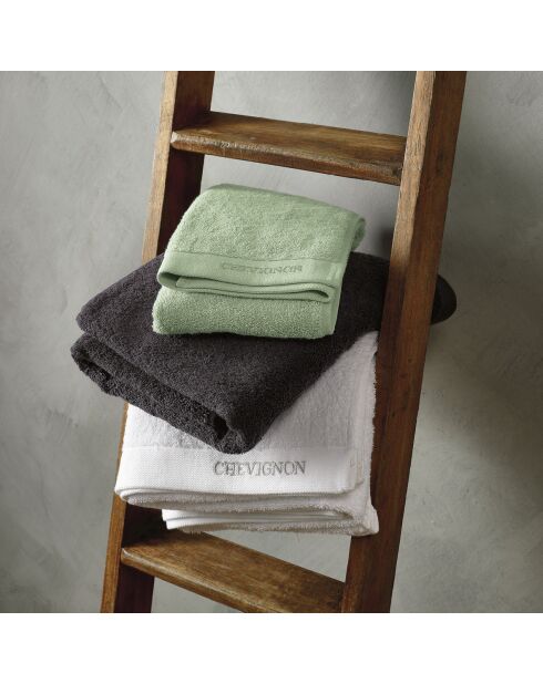 Lot de 2 serviettes de toilette vert prairie - 50x100 cm