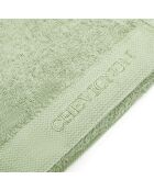 Lot de 2 serviettes de toilette vert prairie - 50x100 cm
