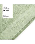 Lot de 2 serviettes de toilette vert prairie - 50x100 cm