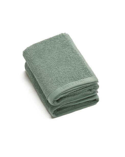 Lot de 2 serviettes de toilette vert bouteille - 2x50x100 cm