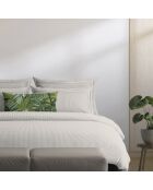 Housse de traversin en percal de coton Lyon Taupe - 43x210 cm