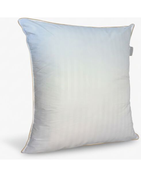 Lot de 2 oreillers plume de canard blancs - 60x60 cm