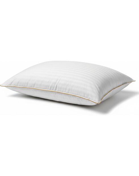 Lot de 2 oreillers plume de canard blancs - 60x60 cm