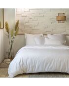 Drap plat 100 % percale de coton blanc