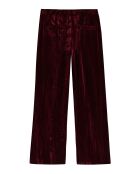 Pantalon droit velours Koffi bordeaux