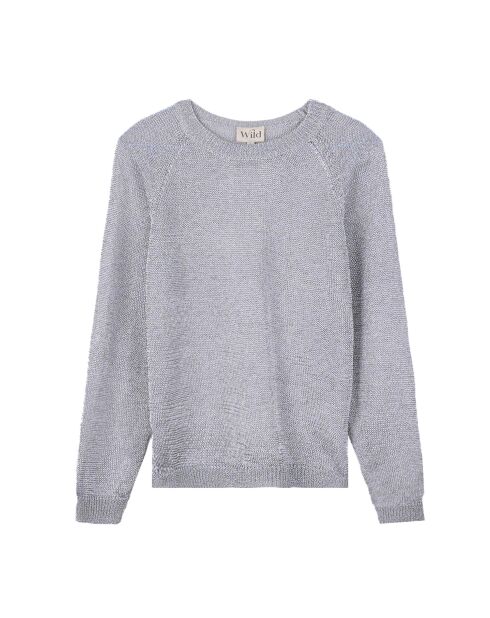 Pull manches longues col rond Romy argenté