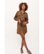 Robe courte léopard Shirkan marron