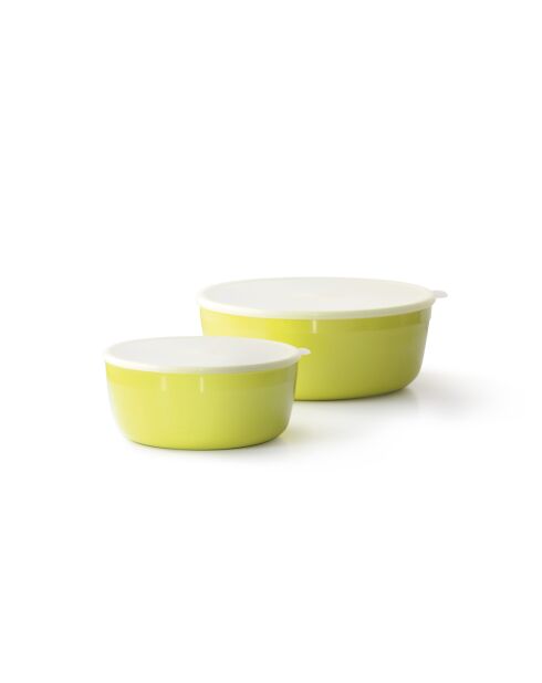 Set de 2 boîtes de conservation basses avec couvercle hermétique citron vert -1300 ml / 2500 ml