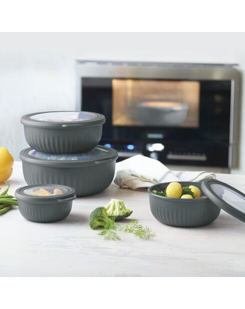 Set de 4 bols à usages multiples avec couvercles hermétiques gris anthracite
