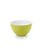 Saladier citron vert/blanc - 24x12.5 cm